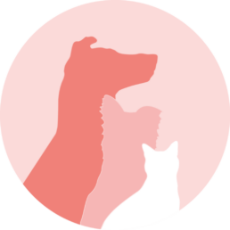 Icon Tierarztpraxis Hollunder und Rohde