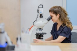 Dermatologie in der Tierarztpraxis Hollunder & Rohde
